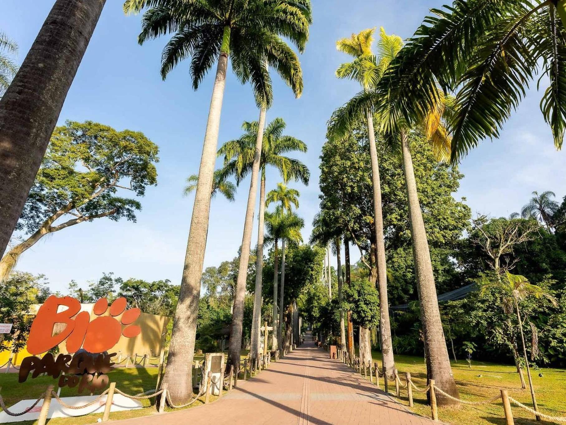 Apartamento Santa Tereza - Conforto + 1 Ticket Ou Transfer Río de Janeiro
